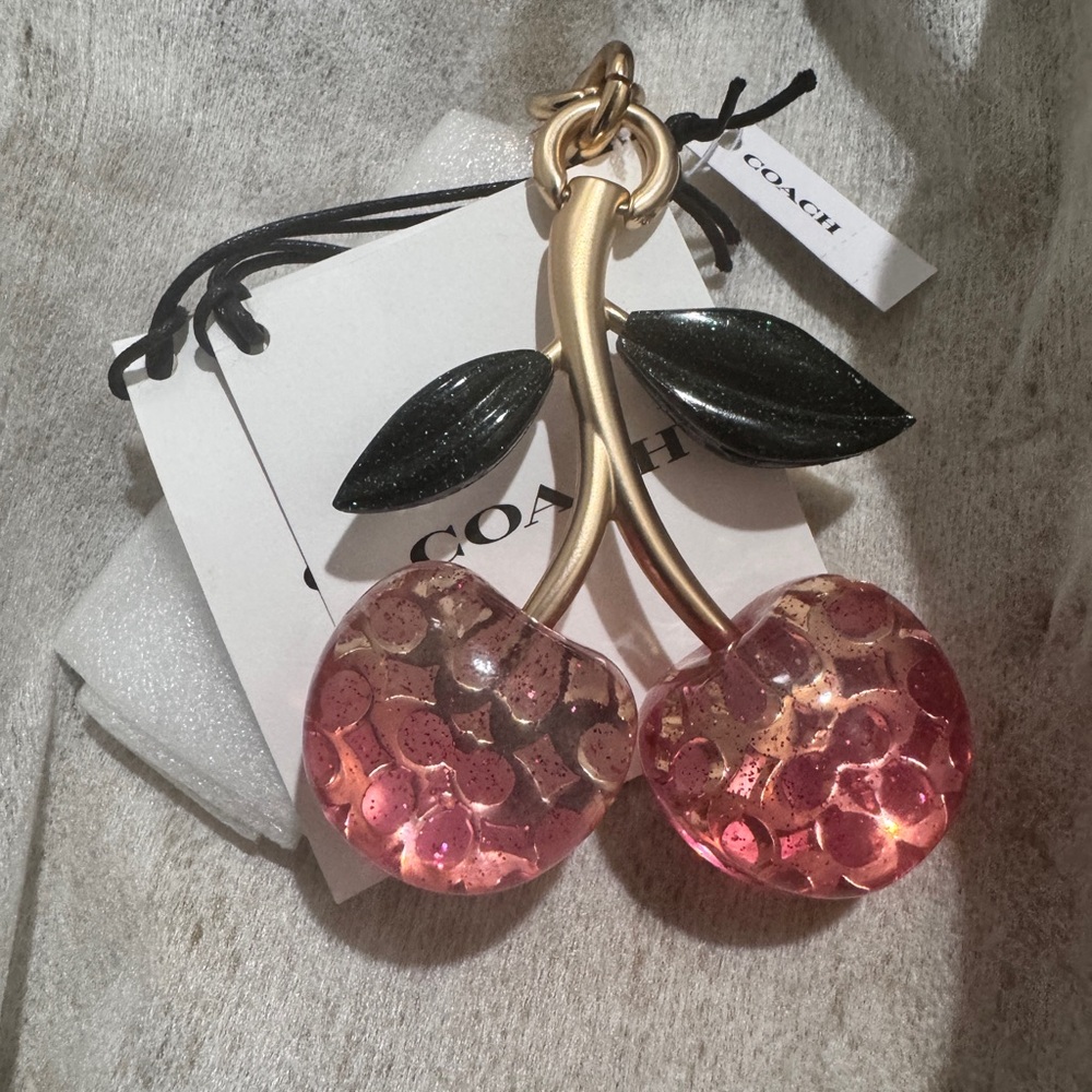 🩷BRAND NEW SIGNATURE COACH BAG CHARM🩷